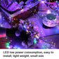 Outdoor Waterproof Battery-Operated LED Fairy Lights