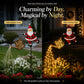 🎅 50% OFF FLASH SALE! ✨Solar Christmas Santa Decor Lights – Weather‑Resistant, 5 Styles 🎁