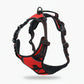 📢📢50% OFF !! ⏰ Adjustable Dual-Clip Harness