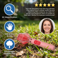 🥳2026 HOT SALE🥳50K+ SOLD!🧡Bug Catcher with 6X Magnifier – Insect Observation Tool for Outdoor Exploration🔍