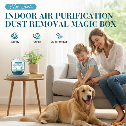 ⏳New Year Sale 50% Off⏰Indoor Air Purification Dust Removal Magic Box🏠🌿