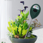 ⏳🔥LIMITED-TIME 50% OFF! ⏰🌱 Professional soil moisture meter for indoor & outdoor plants – Handy, Accurate, Plant‑friendly 💦✨