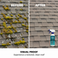 🌟LAST DAY BUY 2 GET 1 FREE!!🌧️ Multi-Surface Roof Moss & Algae Cleaner Spray – Spray, Rinse, and Watch It Shine! 🏠✨ Tough on moss, gentle on plants – a cleaner roof in minutes. 🌿💧