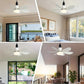 🔥Sale 58%OFF-💡🔥2-IN-1 PORTABLE CEILING FAN & LIGHT with Remote Control