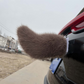 ⏳Limited-time 50% off 🚗🐾 Remote Control Electric Car Tail – Make Your Car Stand Out