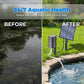 🔥LIMITED TIME 50% OFF!🔥   ☀️ Solar pond aerator with built-in air pump🐟