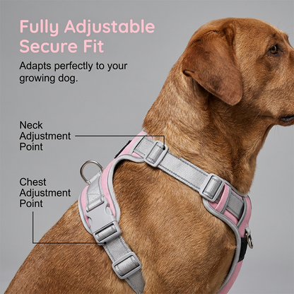📢📢50% OFF !! ⏰No-Pull Dog Harness