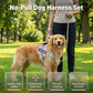 📢📢50% OFF !! ⏰No-Pull Dog Harness