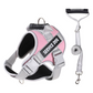 📢📢50% OFF !! ⏰No-Pull Dog Harness