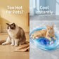 🐾 Inflatable Cooling Water Bed for Cats | Fun Summer Pet Bed with Cooling Water Cushion Comfort