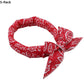 🥳Last Day Buy 1 Get 1 Free!!💦🐕Summer Pet Cooling Collar Wrap🧊🐱