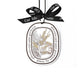 🌿Hanging Car Air Freshener Scent Card