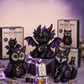 🔥2026 Hot Sale 50% OFF✨! 🎁🧵🌙 Beginner sewing kit – celestial plush, all-in-one, magical DIY gift!