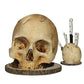 🎃🔥 FLASH SALE — 50% OFF 🔪 Gothic Skull Knife Holder – Durable Resin, Versatile Knife Storage & No Installation