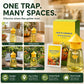 🐝🏡 LIMITED-TIME 50% OFF! Indoor & Outdoor Hanging Fly Trap – Four Entry Openings, Easy Setup & Reusable Pest Control
