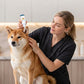 Gentle Pet Ear Cleaner Solution 🐾 Happy Ears, Happy Pet – A Gentle Clean for Healthy, Itch-Free Ears ✨