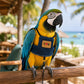 💖Breathable Pet Bird Harness Vest☁️