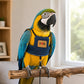 💖Breathable Pet Bird Harness Vest☁️