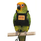 💖Breathable Pet Bird Harness Vest☁️