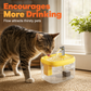 🐾💧 LIMITED TIME 51% OFF! Flowing Pet Water Fountain – Food Grade PET Bowl, Visible Water Level and Easy Clean Design