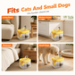 🐾💧 LIMITED TIME 51% OFF! Flowing Pet Water Fountain – Food Grade PET Bowl, Visible Water Level and Easy Clean Design