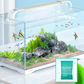🎉 2026 Sale — Over 33,700 Sold!🔥Electric Aquarium Gravel Cleaner – Battery Powered ✨