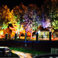 📢📢50% OFF !! ⏰IP65 Waterproof Outdoor Ring Tree Light