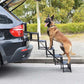 🎁2026 New Arrivals 50% OFF💥Portable Foldable Non-Slip Dog Car Stairs – Heavy-Duty Support, Reinforced Grips & Compact Design ✨