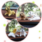 📢📢50% OFF !! ⏰Cute Dog Bobblehead Car Dashboard Decoration