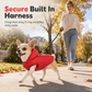 🐾 LIMITED-TIME 50% OFF! ✨ Hooded Dog Coat – Fleece-lined, Windproof 🧥