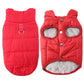 🐾 LIMITED-TIME 50% OFF! ✨ Hooded Dog Coat – Fleece-lined, Windproof 🧥