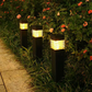 ⏳Limited-time 54% off⏰Solar Outdoor Garden Lights for Yard and Landscape Decoration🏡💡