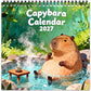 🥳2026 HOT SALE🥳💞50K+ SOLD!📢📢49% OFF ! Funny Capybara 2027 Wall Calendar – 12-Month Cute & Playful Capybara Calendar, Spiral Hanging Wall Planner for Capybara Lovers & Nature Fans